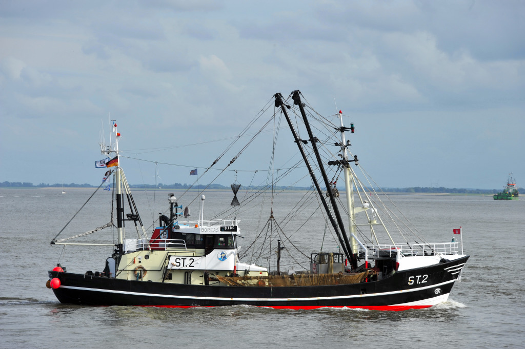 DSC 43620006