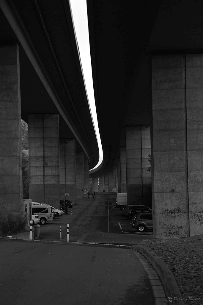 DSC 4384sw