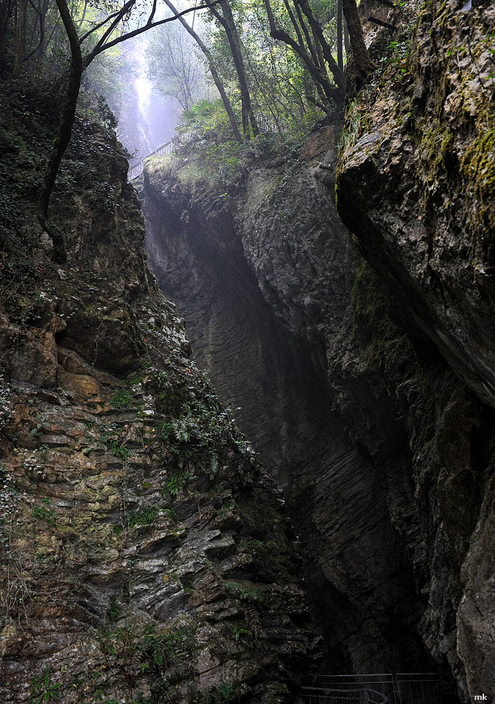 DSC 4387