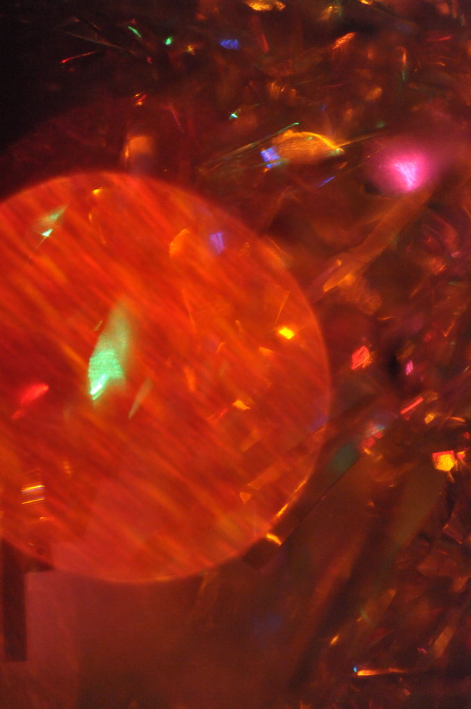 DSC 4402