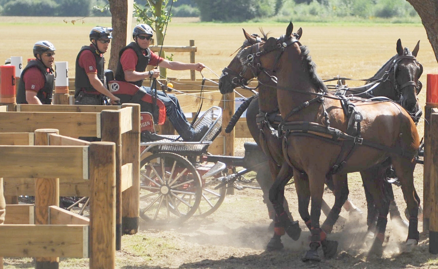 DSC 4481 web crop