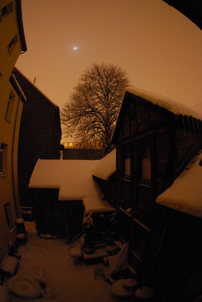 DSC 4495
