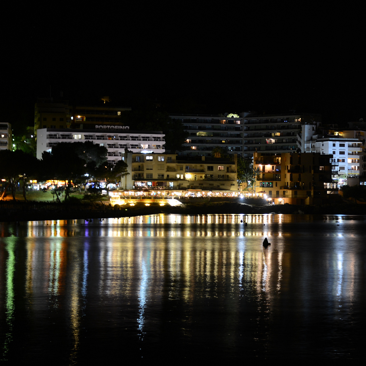 DSC 4518