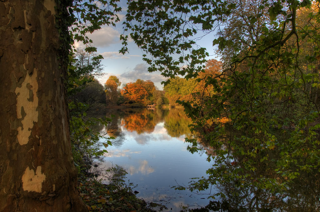DSC 4582 3 4 tonemapped
