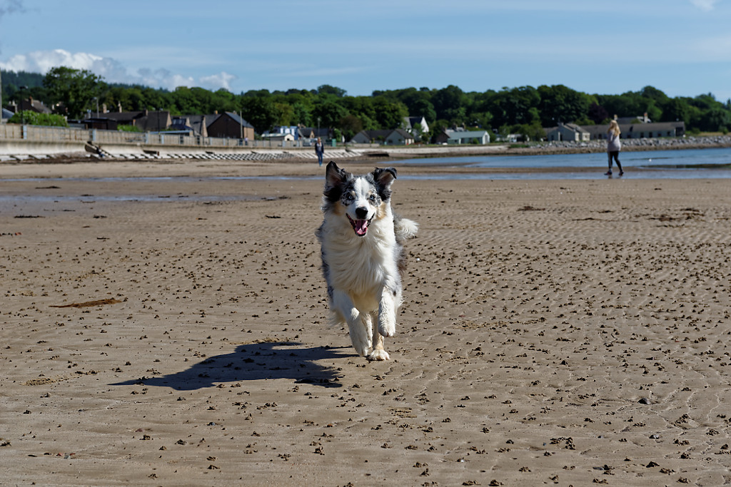 DSC 4658 DxO