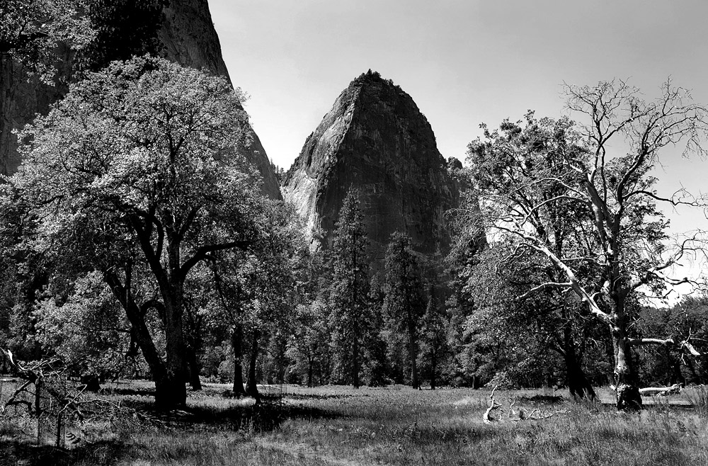DSC 4662 YV Kathedral Rock sw 1000