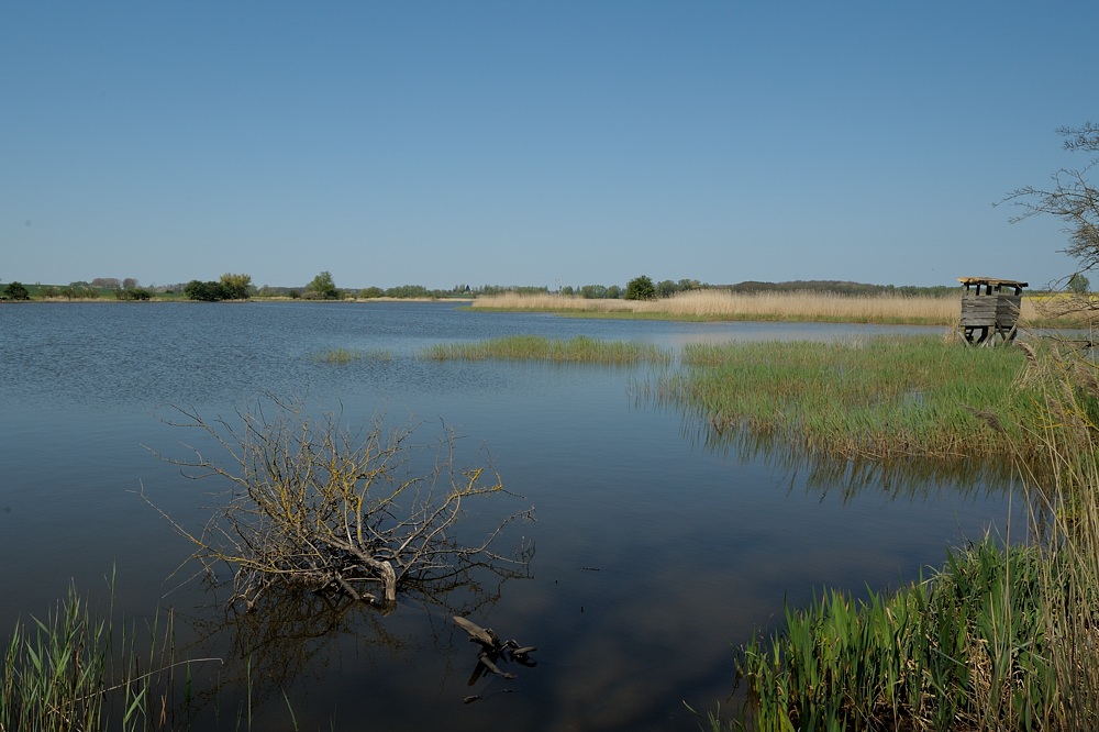 DSC 4665a