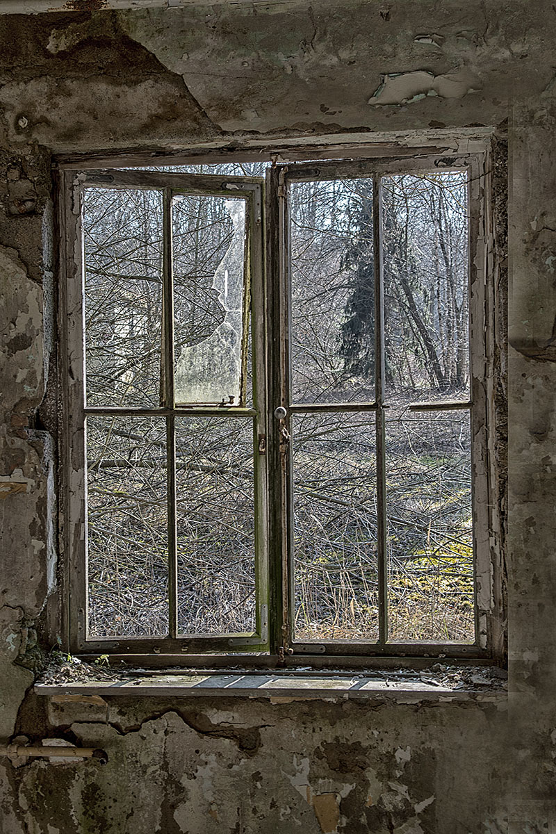 DSC 4730