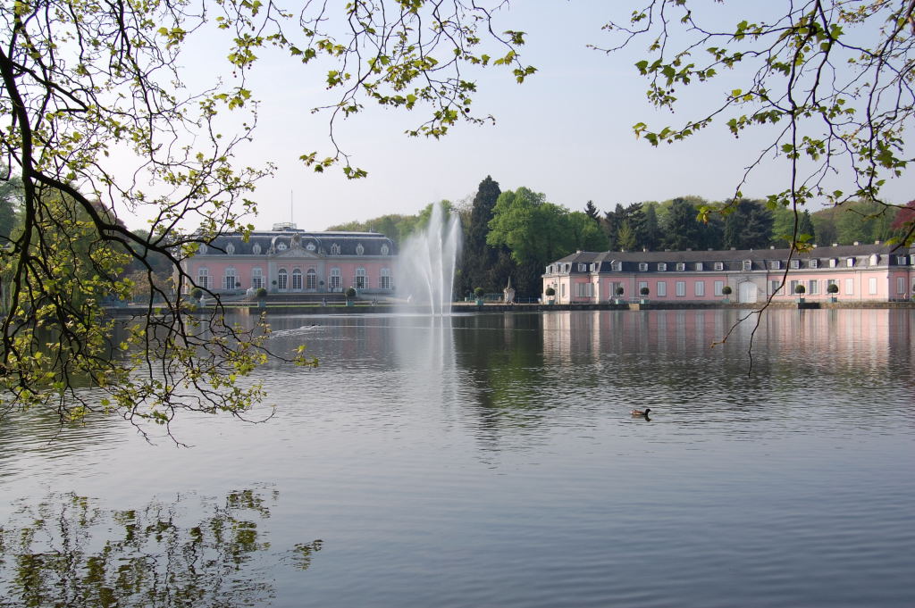 DSC 47610001