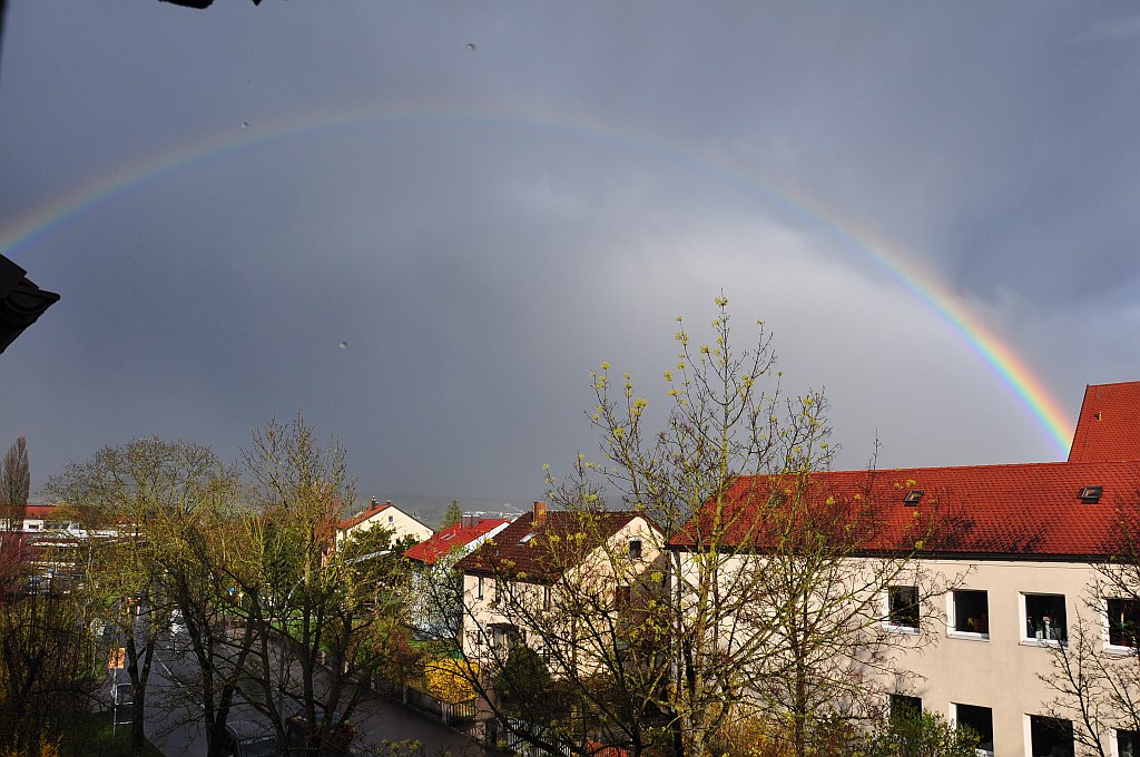 DSC 4781