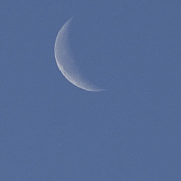 DSC 4807