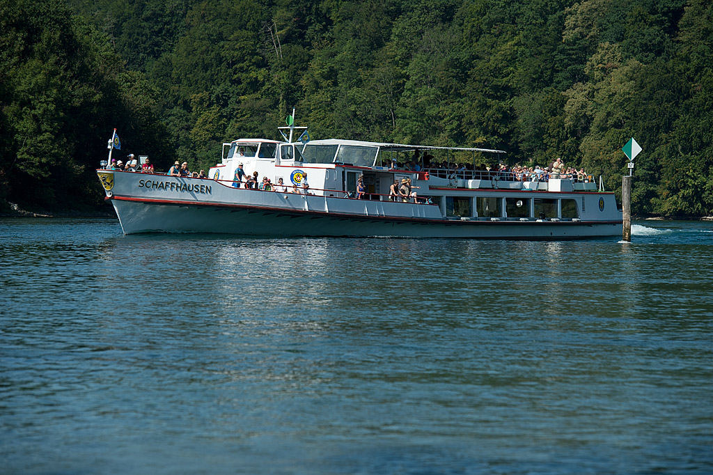DSC 4813kws