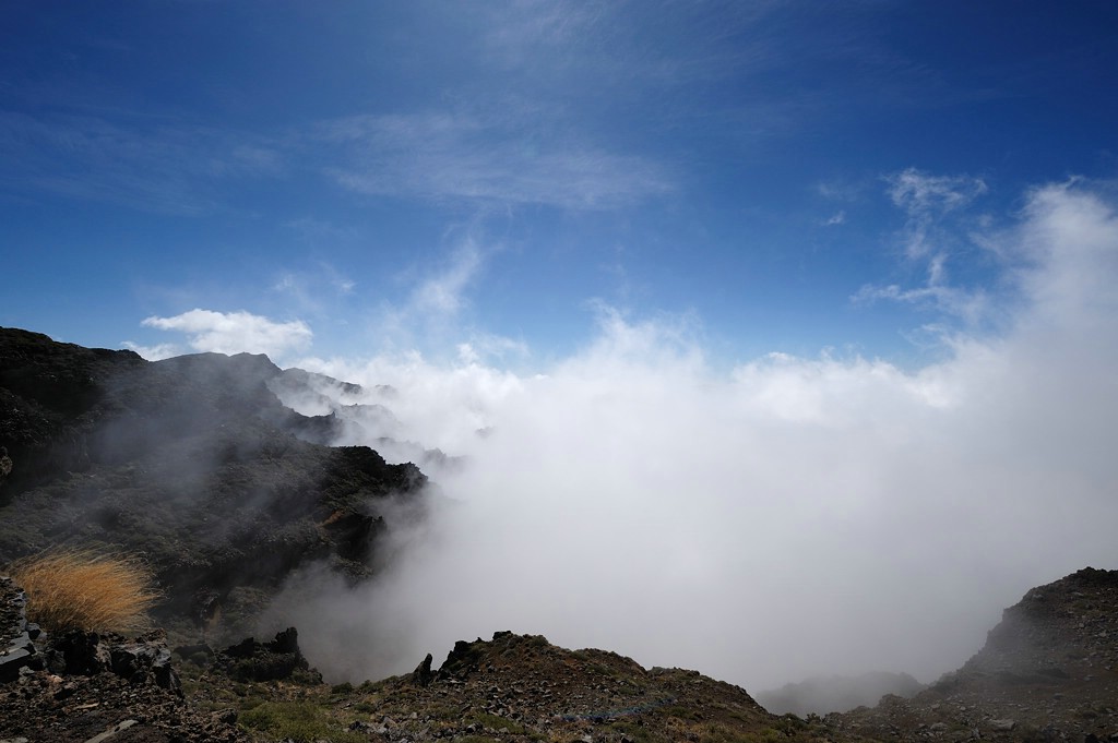 DSC 4831