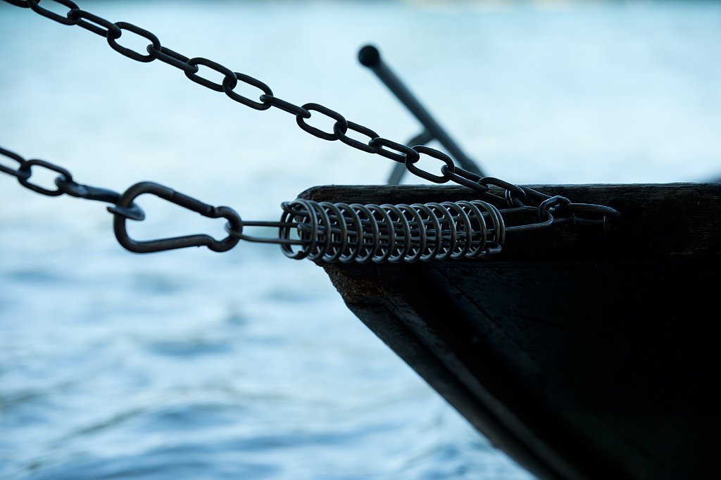 DSC 4831kws
