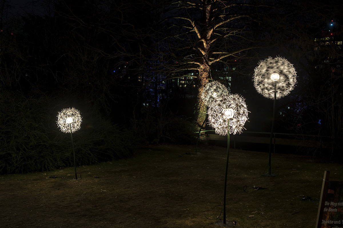 DSC 4839 NF
Winterleuchten Grugaprak Essen 2018