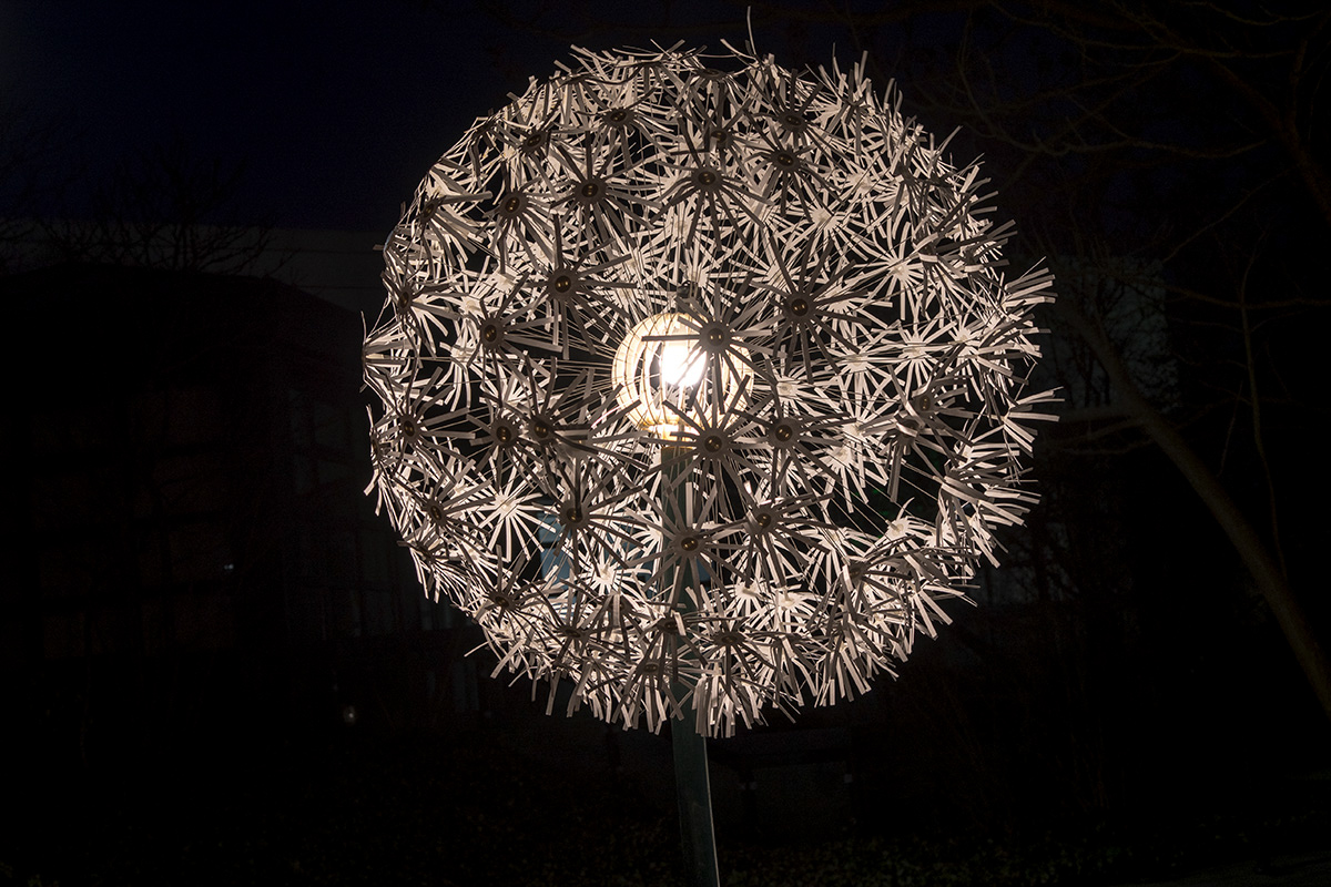 DSC 4842 NF
Winterleuchten Grugaprak Essen 2018