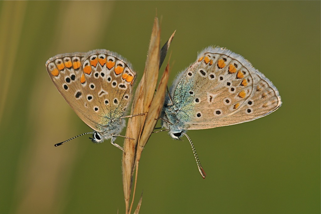 DSC 4843