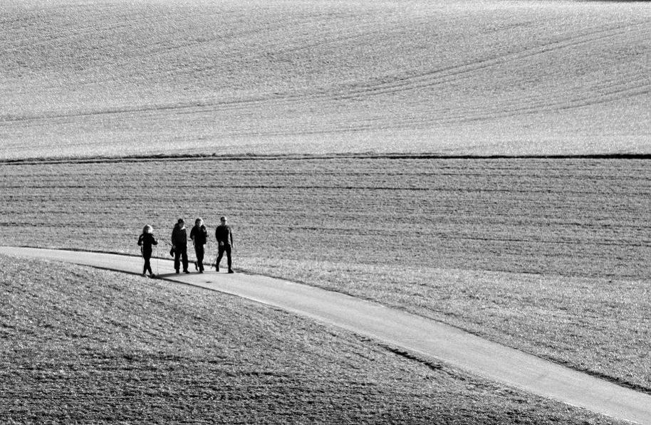 DSC 4846 Nordic Walkin SW Forum