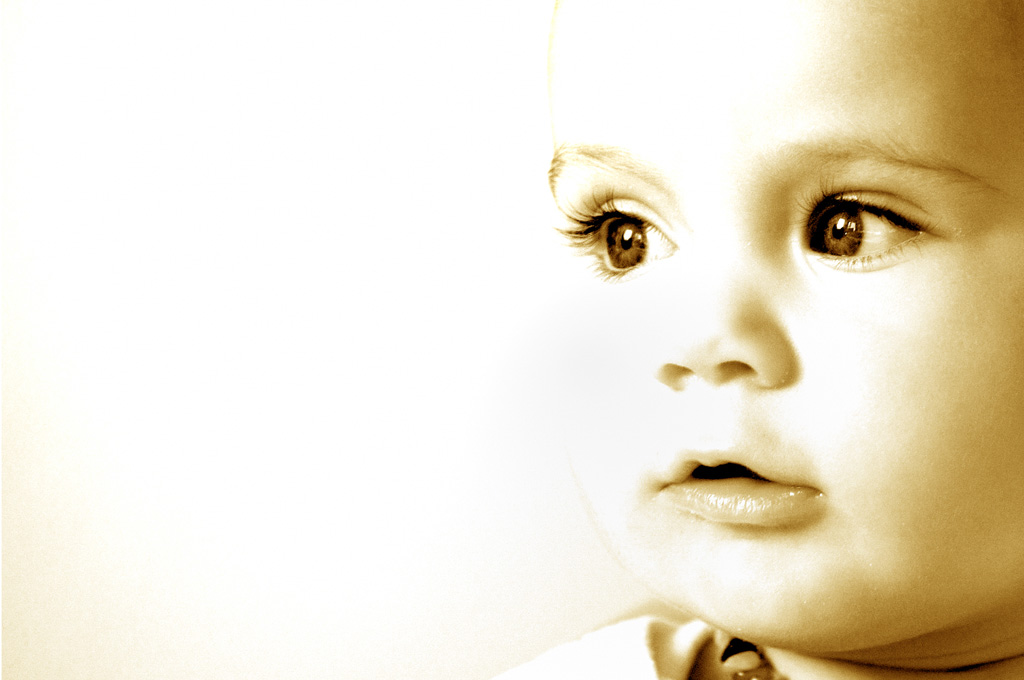 DSC 4849 crop