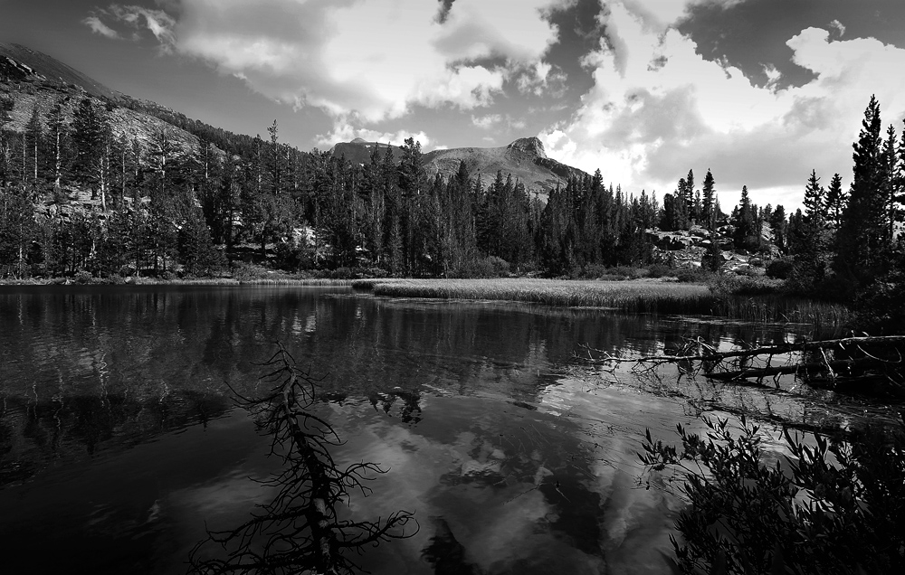 DSC 4883 kl Tioga Lake 1000
