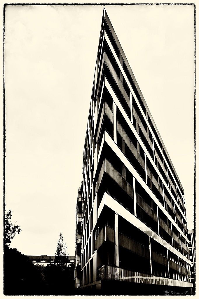 DSC 4889
