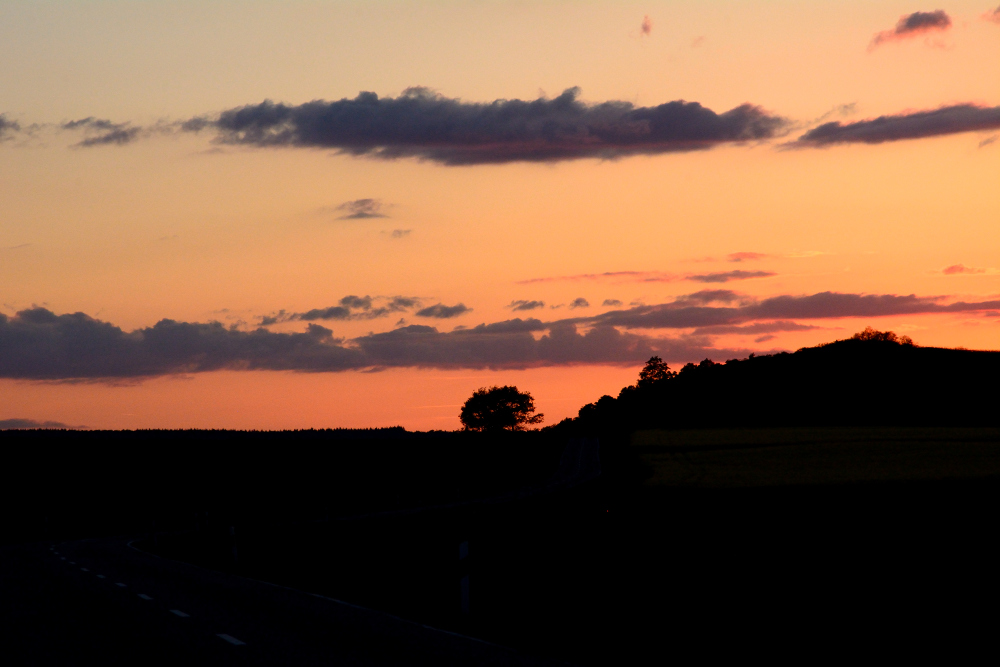 DSC 4894s
