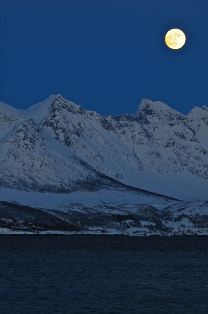 DSC 4898