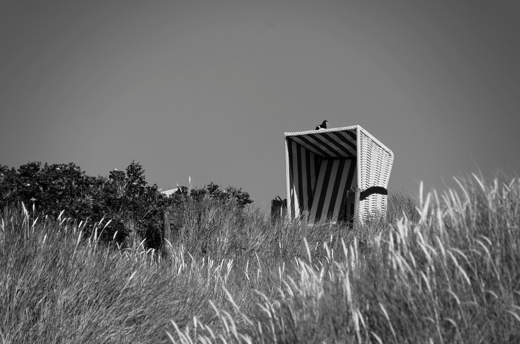 DSC 4900 DxO 2