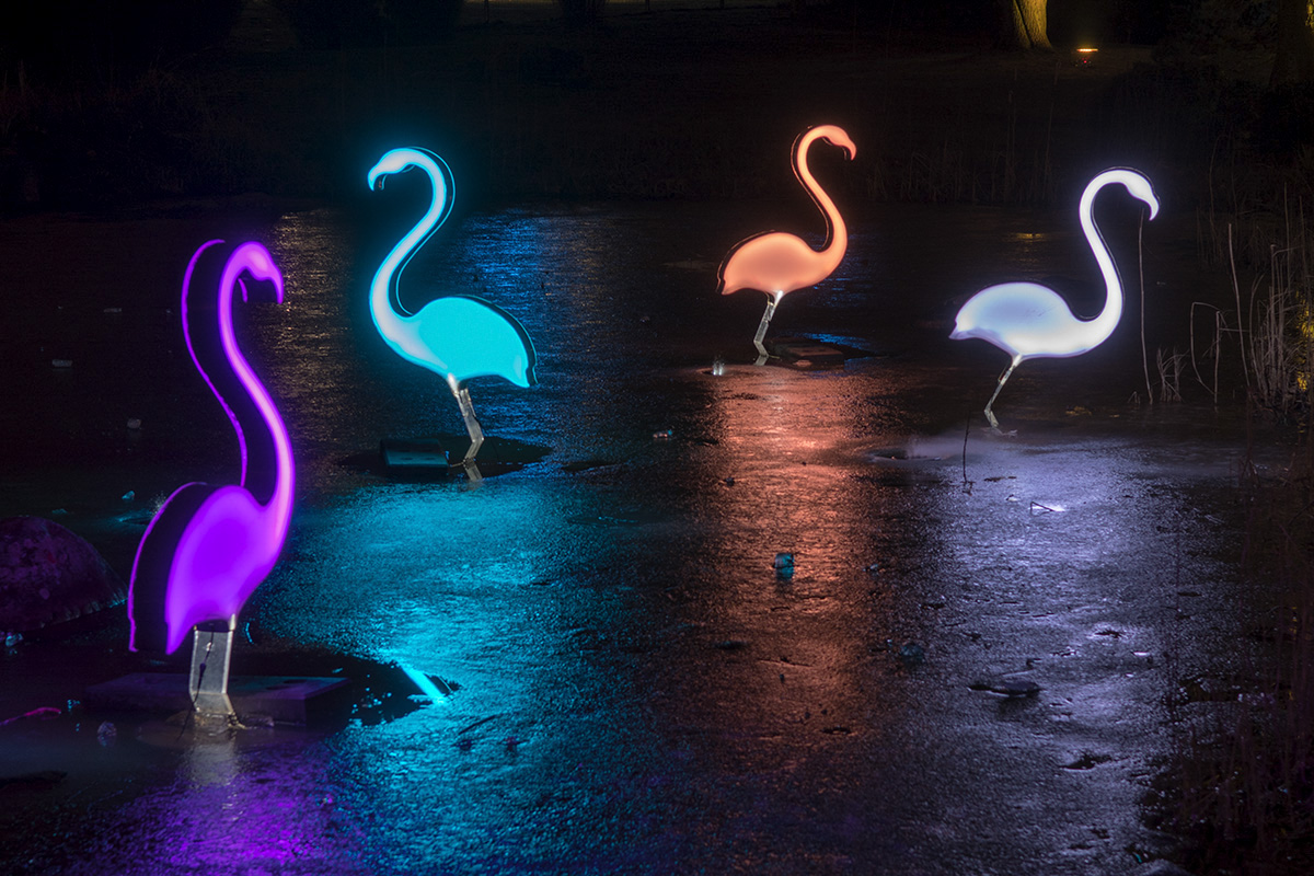 DSC 4906 NF
Winterleuchten Grugaprak Essen 2018
