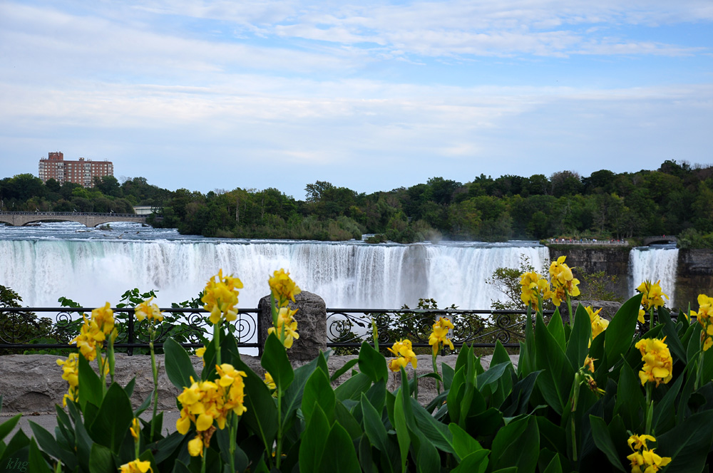 DSC 4909 Niagara
