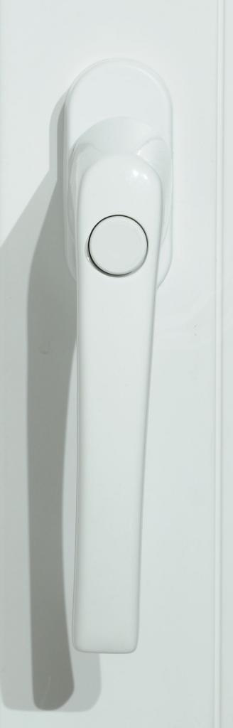 DSC 4909