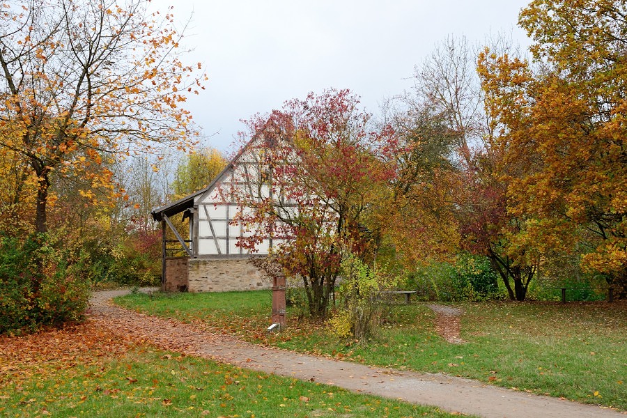 DSC 4912 01
