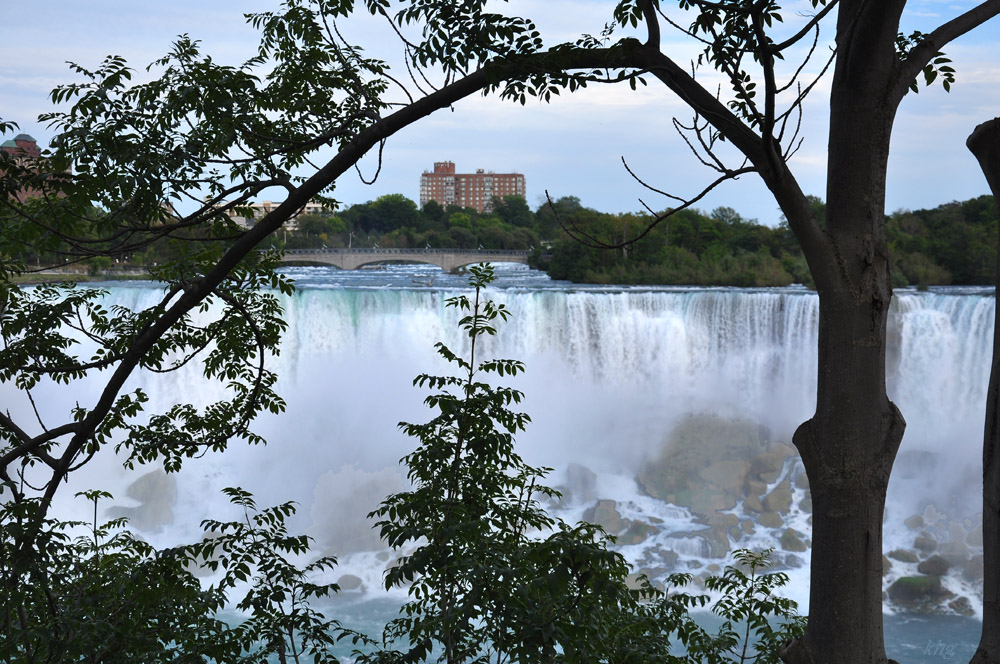 DSC 4915 Niagara