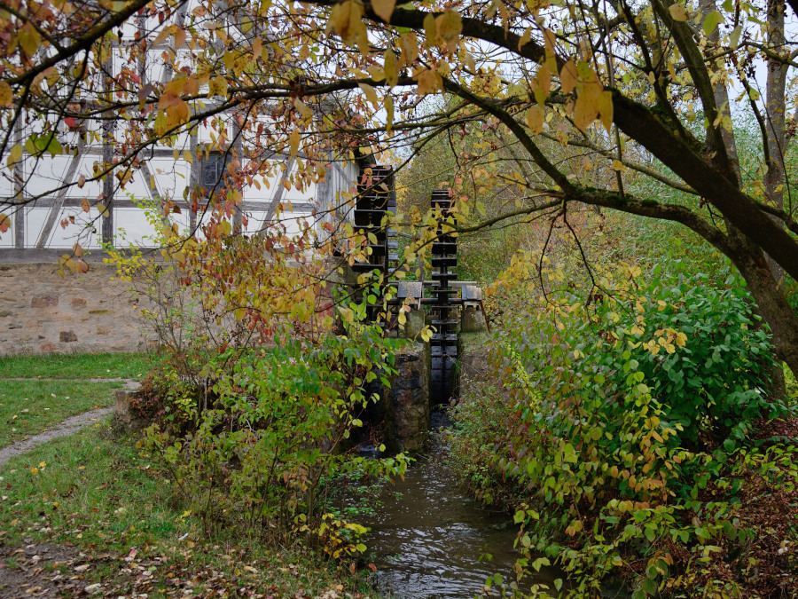 DSC 4916 01
