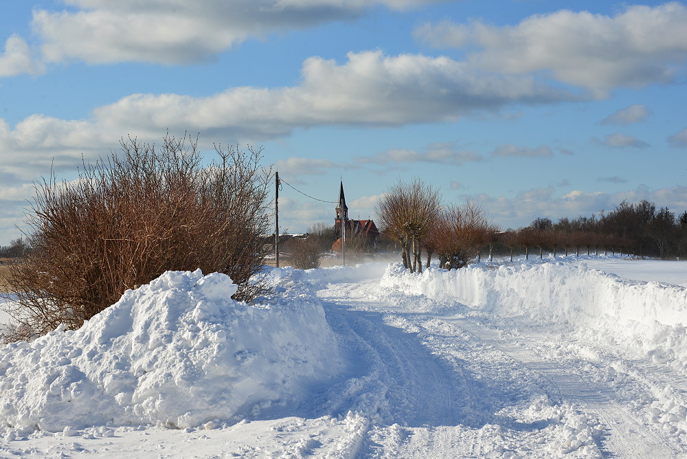 DSC 4923 23 3 13