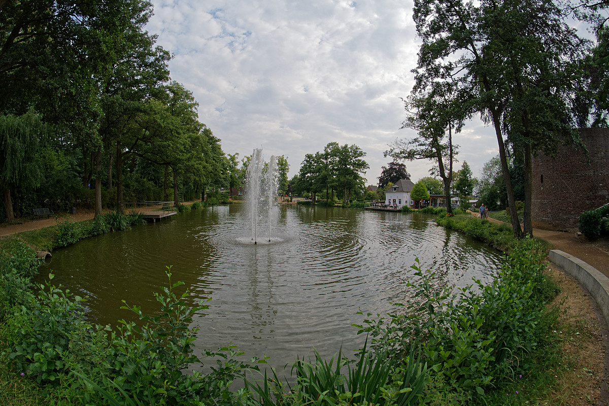 DSC 4953a