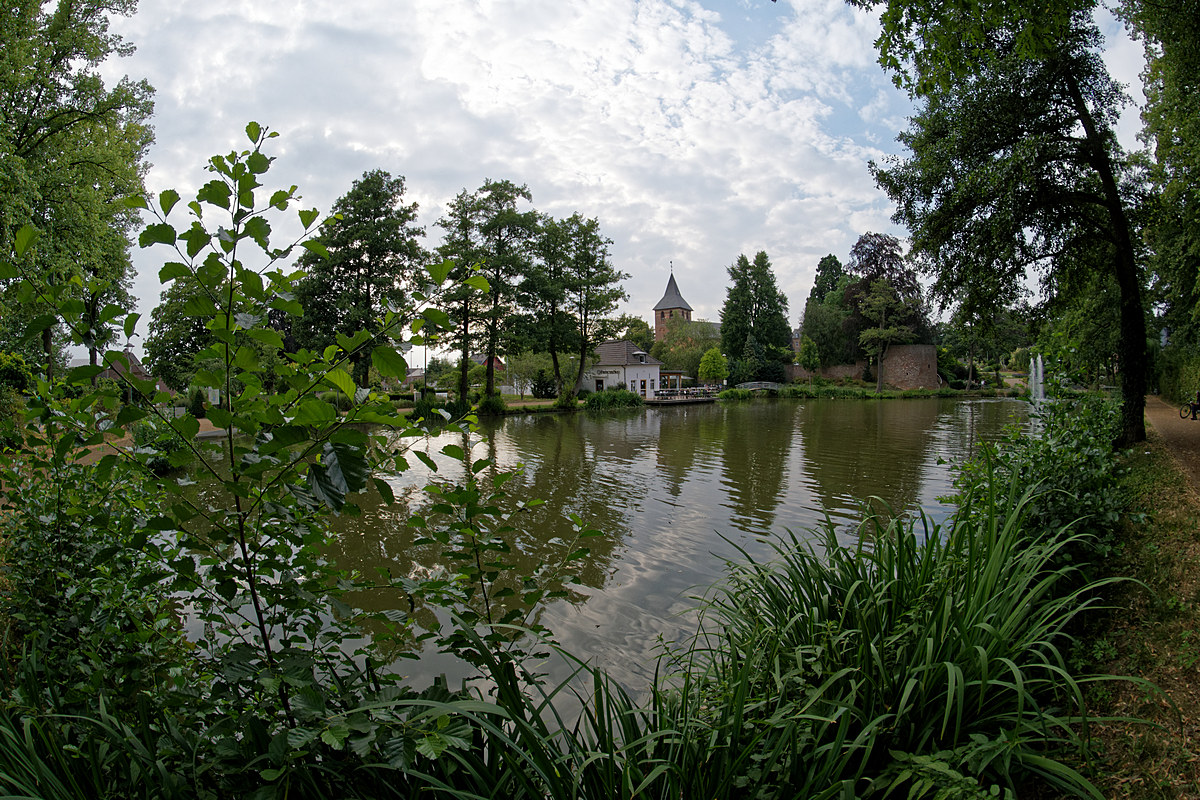 DSC 4958a