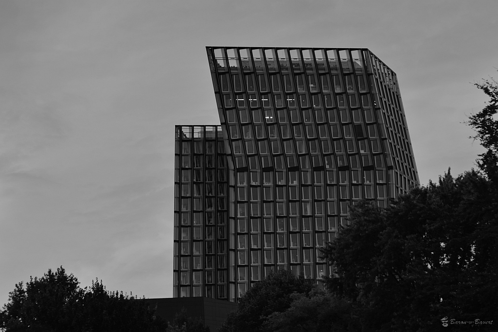 DSC 4958sw