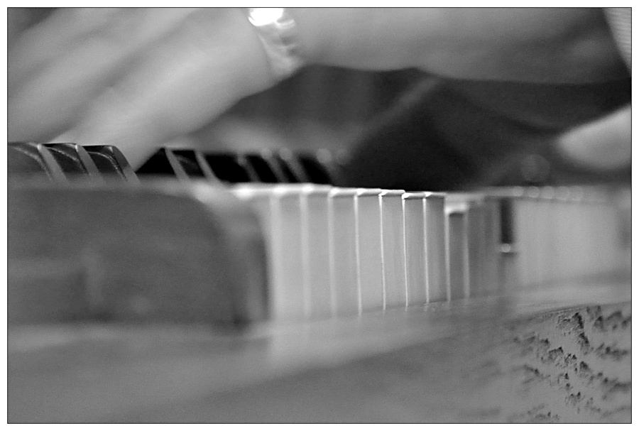 DSC 4974 swak
