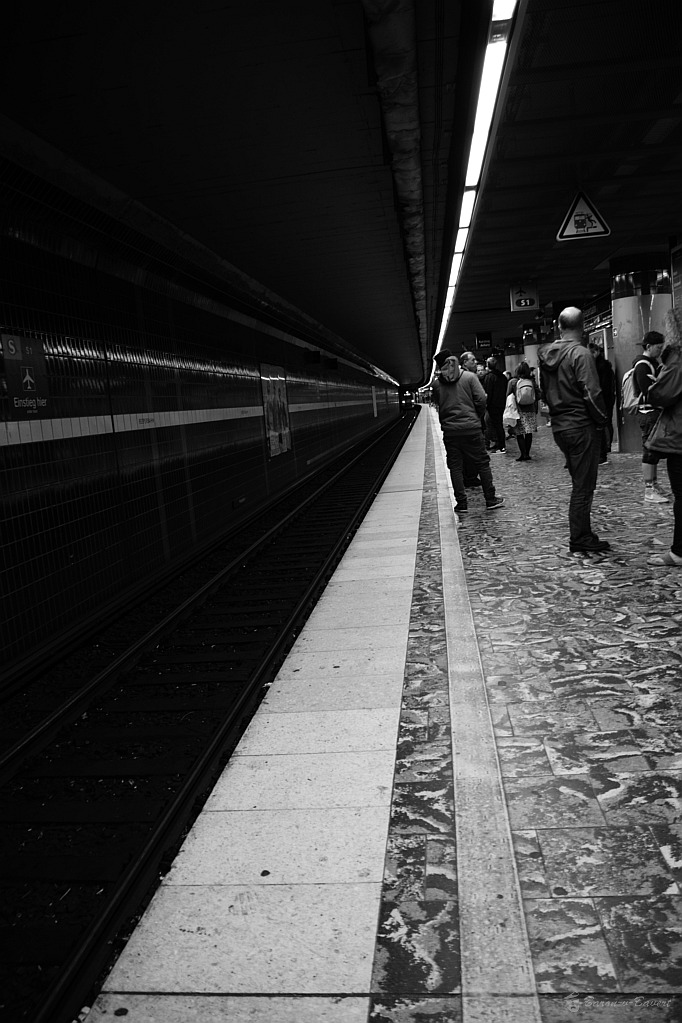 DSC 4990sw