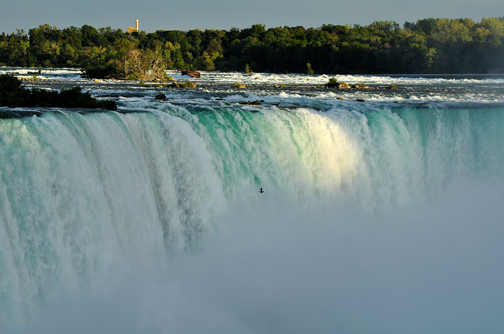 DSC 4996 Niagara