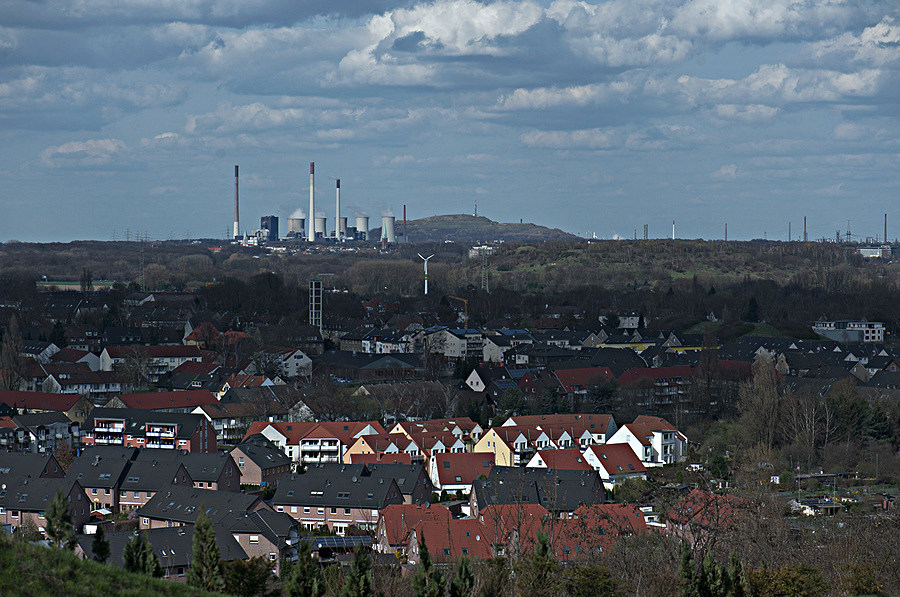 DSC 4999