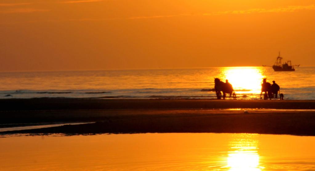 DSC 5004 1
Sonnenuntergang am Strand von De Haan