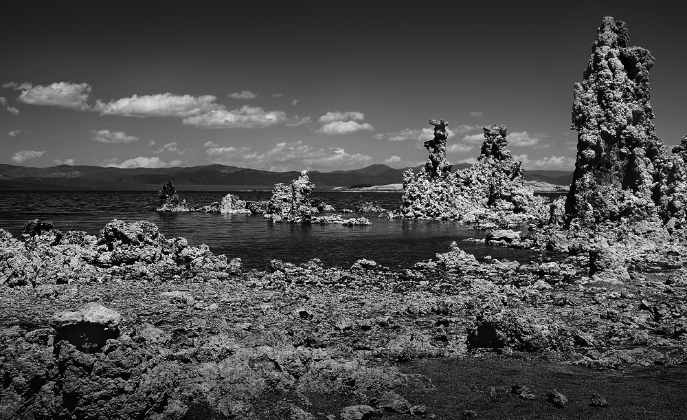 DSC 5009 Mono Lake sw 1000 2
