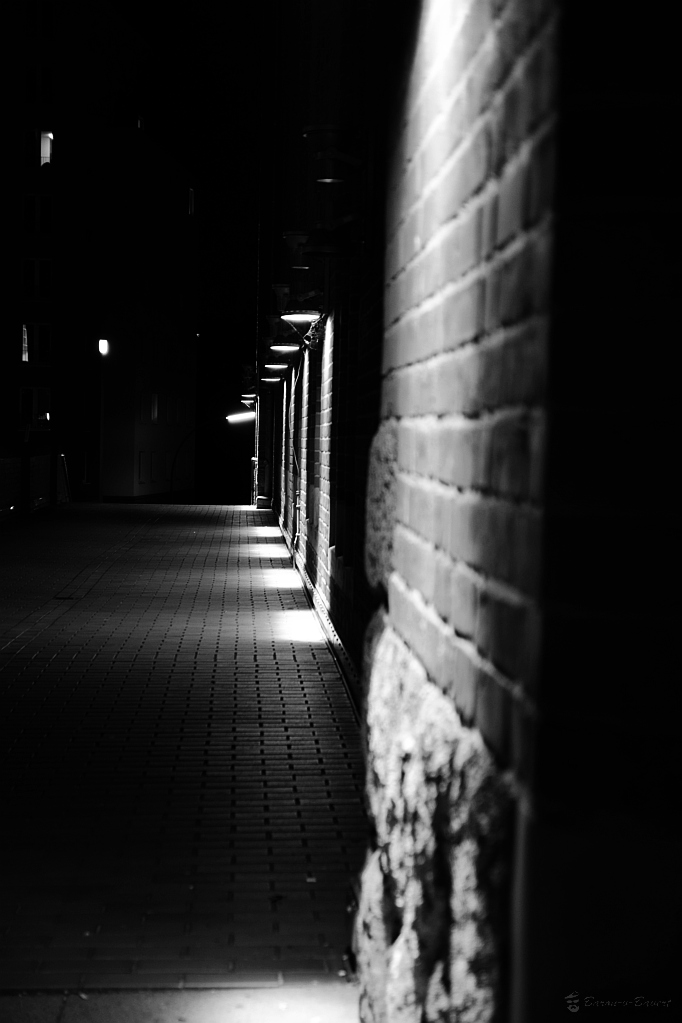 DSC 5022sw