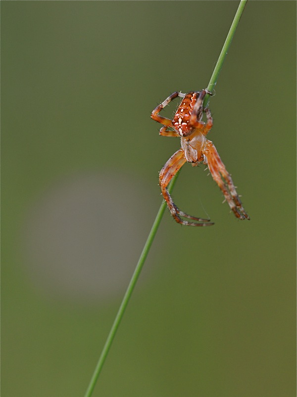 DSC 5037