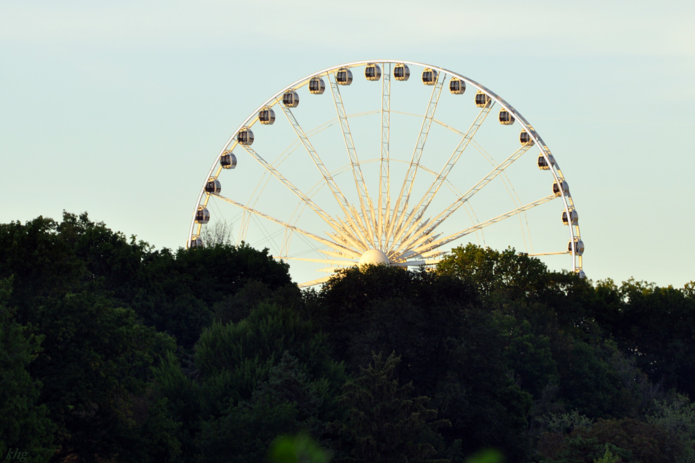 DSC 5040 Niagara