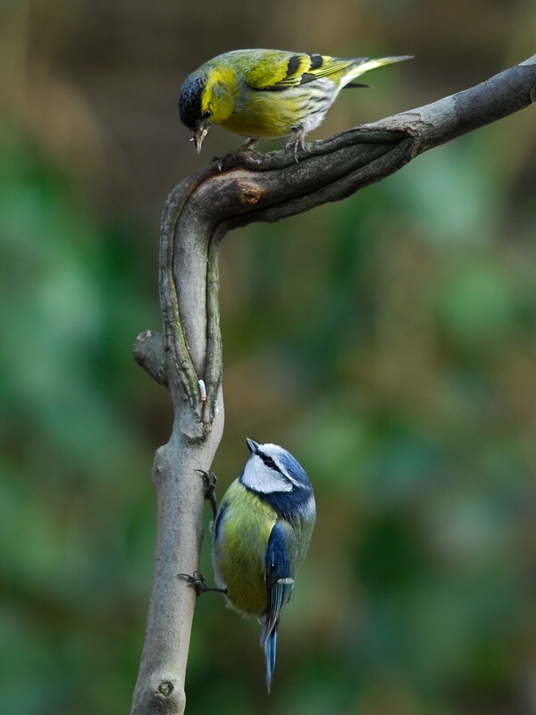 DSC 5049 hf hf