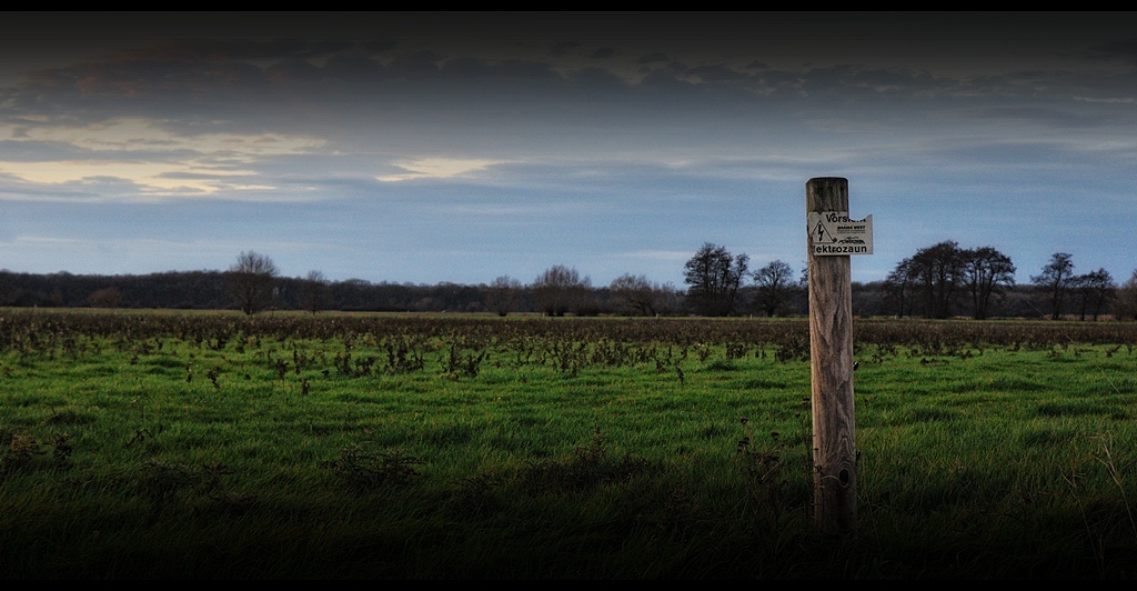 DSC 5050nff