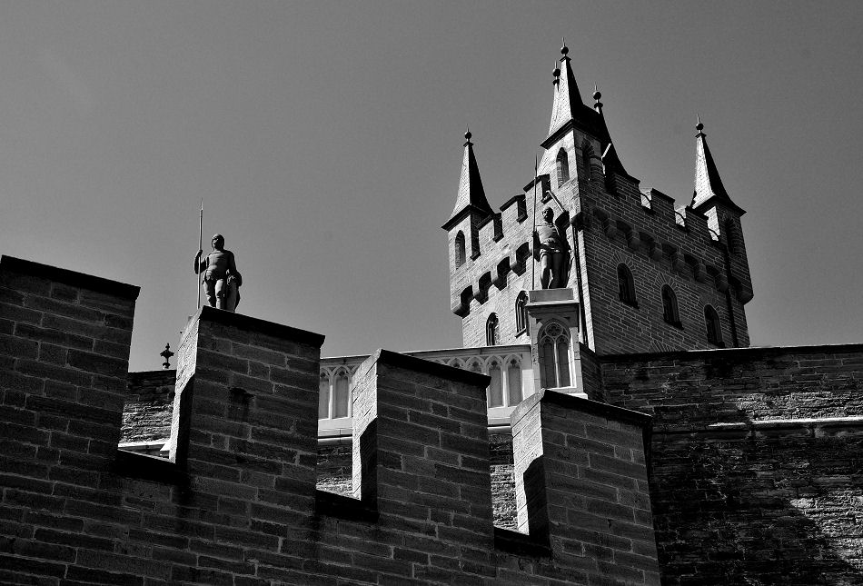 DSC 5058 Burg SW Forum